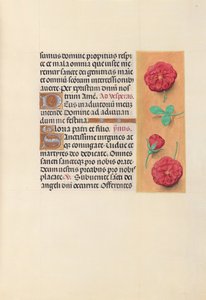 Hours of Queen Isabella the Catholic, Queen of Spain: Fol. 41r, c. 1500. av Master of the First Prayerbook of Maximillian