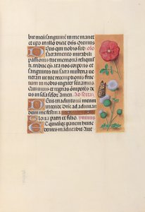 Hours of Queen Isabella the Catholic, Queen of Spain: Fol. 46r, c. 1500. av Master of the First Prayerbook of Maximillian