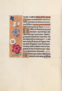 Hours of Queen Isabella the Catholic, Queen of Spain: Fol. 48v, c. 1500. av Master of the First Prayerbook of Maximillian