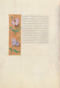 Hours of Queen Isabella the Catholic, Queen of Spain: Fol. 49v, c. 1500. av Master of the First Prayerbook of Maximillian