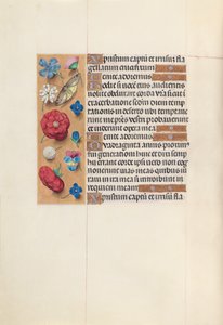 Hours of Queen Isabella the Catholic, Queen of Spain: Fol. 51v, c. 1500. av Master of the First Prayerbook of Maximillian