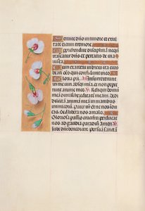 Hours of Queen Isabella the Catholic, Queen of Spain: Fol. 53v, c. 1500. av Master of the First Prayerbook of Maximillian