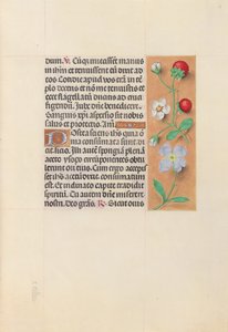 Hours of Queen Isabella the Catholic, Queen of Spain: Fol. 55r, c. 1500. av Master of the First Prayerbook of Maximillian