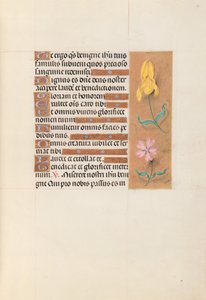 Hours of Queen Isabella the Catholic, Queen of Spain: Fol. 56r, c. 1500. av Master of the First Prayerbook of Maximillian