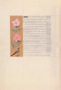 Hours of Queen Isabella the Catholic, Queen of Spain: Fol. 56v, c. 1500. av Master of the First Prayerbook of Maximillian