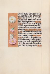 Hours of Queen Isabella the Catholic, Queen of Spain: Fol. 58v, c. 1500. av Master of the First Prayerbook of Maximillian