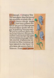 Hours of Queen Isabella the Catholic, Queen of Spain: Fol. 60r, c. 1500. av Master of the First Prayerbook of Maximillian