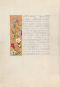 Hours of Queen Isabella the Catholic, Queen of Spain: Fol. 60v, c. 1500. av Master of the First Prayerbook of Maximillian