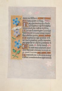 Hours of Queen Isabella the Catholic, Queen of Spain: Fol. 63v, c. 1500. av Master of the First Prayerbook of Maximillian