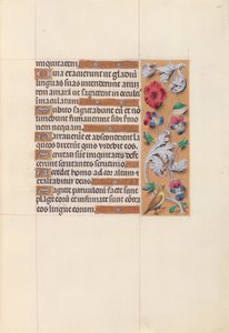 Hours of Queen Isabella the Catholic, Queen of Spain: Fol. 64r, c. 1500. av Master of the First Prayerbook of Maximillian