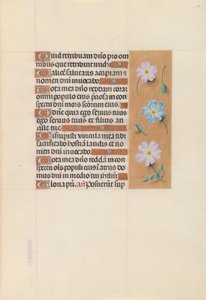 Hours of Queen Isabella the Catholic, Queen of Spain: Fol. 67r, c. 1500. av Master of the First Prayerbook of Maximillian