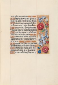 Hours of Queen Isabella the Catholic, Queen of Spain: Fol. 70r, c. 1500. av Master of the First Prayerbook of Maximillian