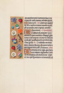 Hours of Queen Isabella the Catholic, Queen of Spain: Fol. 70v, c. 1500. av Master of the First Prayerbook of Maximillian