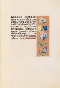 Hours of Queen Isabella the Catholic, Queen of Spain: Fol. 71r, c. 1500. av Master of the First Prayerbook of Maximillian
