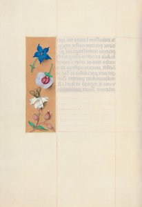Hours of Queen Isabella the Catholic, Queen of Spain: Fol. 71v, c. 1500. av Master of the First Prayerbook of Maximillian