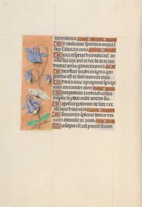 Hours of Queen Isabella the Catholic, Queen of Spain: Fol. 75v, c. 1500.