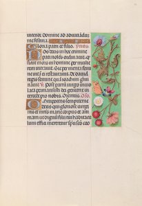 Hours of Queen Isabella the Catholic, Queen of Spain: Fol. 82r, c. 1500. av Master of the First Prayerbook of Maximillian