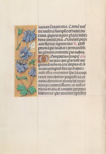 Hours of Queen Isabella the Catholic, Queen of Spain: Fol. 83v, c. 1500. av Master of the First Prayerbook of Maximillian
