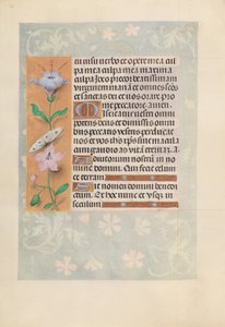 Hours of Queen Isabella the Catholic, Queen of Spain: Fol. 88v, c. 1500. av Master of the First Prayerbook of Maximillian
