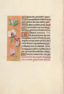 Hours of Queen Isabella the Catholic, Queen of Spain: Fol. 92v, c. 1500. av Master of the First Prayerbook of Maximillian