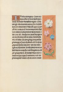 Hours of Queen Isabella the Catholic, Queen of Spain: Fol. 95r, c. 1500. av Master of the First Prayerbook of Maximillian