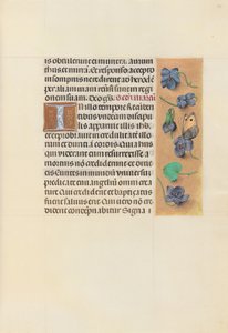 Hours of Queen Isabella the Catholic, Queen of Spain: Fol. 96r, c. 1500. av Master of the First Prayerbook of Maximillian