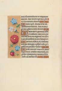 Hours of Queen Isabella the Catholic, Queen of Spain: Fol. 99v, c. 1500. av Master of the First Prayerbook of Maximillian