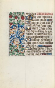 Tidsbok Användning av Rouen: fol. 137v, c. 1470. av Master of the Geneva Latini