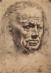 Huvudet av en man av Master of the Pala Sforzesca