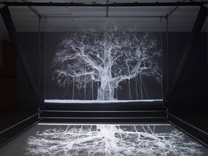 Albion, 2017 (Projektor, mediaspelare, byggnadsställning, transparent film, trä, färg, spegel, stretchingtillbehör) av Mat Collishaw