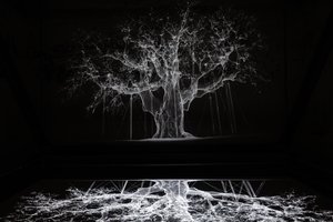 Albion, 2017 (Projektor, mediaspelare, byggnadsställning, transparent film, trä, färg, spegel, stretchingtillbehör) av Mat Collishaw