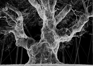 Albion, 2017 (Projektor, mediaspelare, byggnadsställning, transparent film, trä, färg, spegel, stretchingtillbehör) av Mat Collishaw