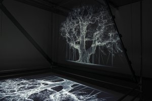 Albion, 2017 (Projektor, mediaspelare, byggnadsställning, transparent film, trä, färg, spegel, stretchingtillbehör) av Mat Collishaw