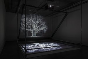 Albion, 2017 (Projektor, mediaspelare, byggnadsställning, transparent film, trä, färg, spegel, stretchingtillbehör) av Mat Collishaw