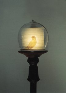 Antik av Mat Collishaw
