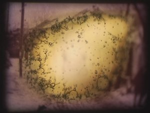Barbarossa, 2002 (videoprojektor och simulerad diaprojektor) av Mat Collishaw