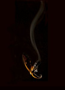 Burning Butterfly 15, 2013 (Lambda print)