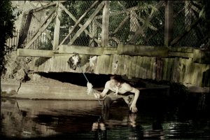 Att fånga älvor 1 av Mat Collishaw
