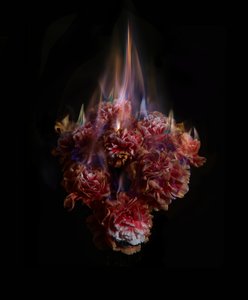 Fading Memories of the Sun, 2013 (fotografi av C-typ) av Mat Collishaw