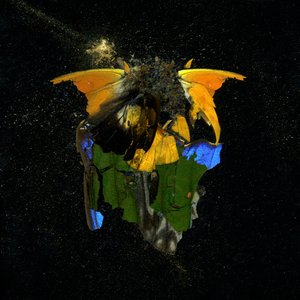 Insekticid 14, 2009 (fotografi av C-typ)