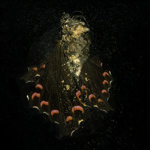 Insekticid 28, 2011 (fotografi av C-typ) av Mat Collishaw