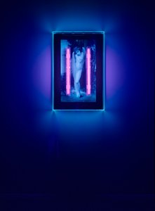 Ultraviolet Angel, 2008 (ultraviolett bläck på plexiglaslåda, 2 ultravioletta neonljus) av Mat Collishaw