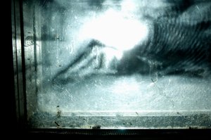 Wormery, 2009 (Trä, glas, stål, projektor och spelare) av Mat Collishaw