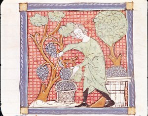Fol.59r September: Skörden