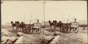 En armévagn på väg till försörjningsdepån i City Point för att hämta förnödenheter av Mathew B. Brady