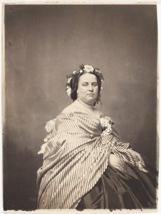  av Mathew B. Brady