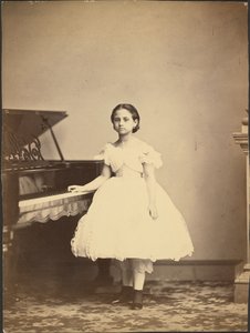  av Mathew B. Brady