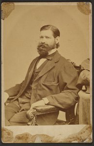 Thomas Davidson Jr. av Mathew B. Brady
