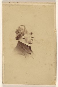 [Oidentifierad man i profil, tryckt i vinjettstil] av Mathew B. Brady