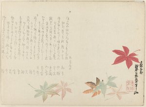 Japansk lönn av Matsukawa Hanzan